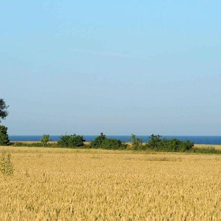 14 Person Holiday Home In R Sk Bing Ærøskøbing Exteriör bild